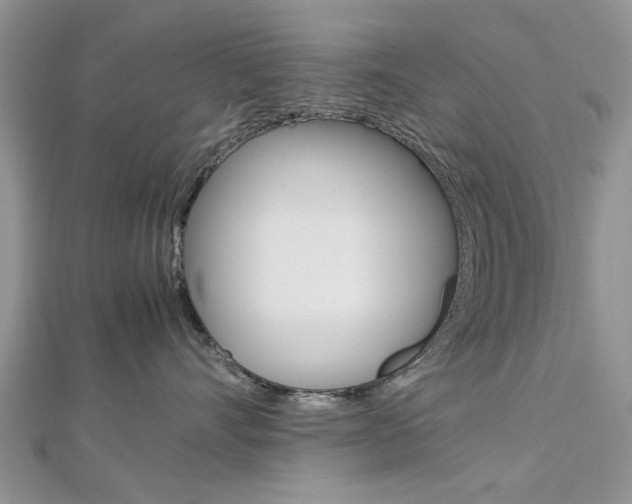 X0000113070528200908281013