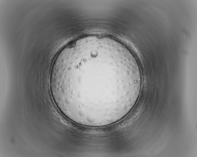 X0000113070529200908281012