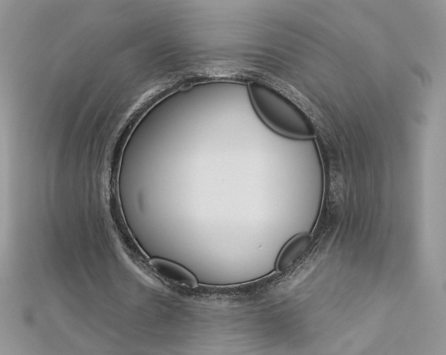 X0000113070530200908281012