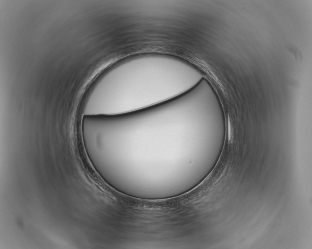 X0000113070531200908281012