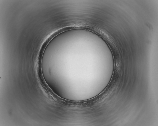 X0000113070532200908281012