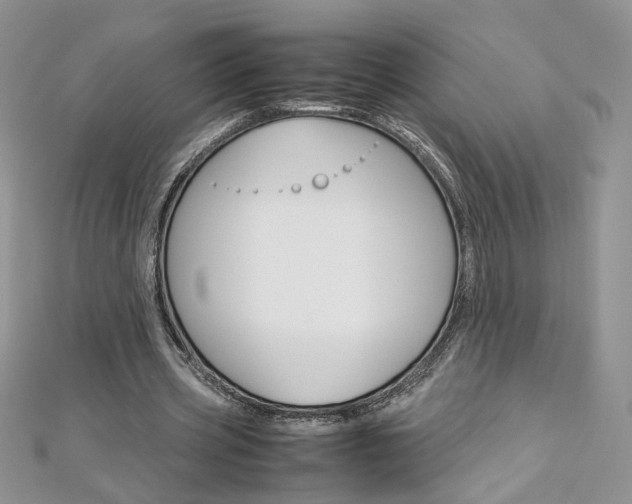 X0000113070533200908281012