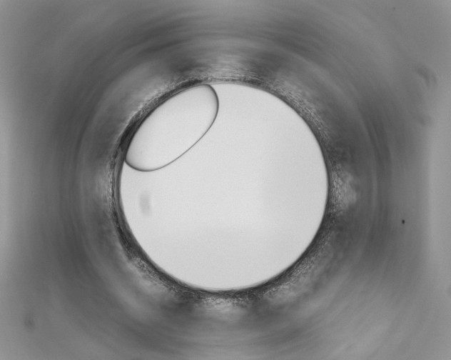 X0000113070534200908281012