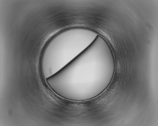 X0000113070535200908281012