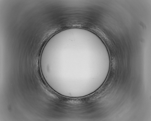 X0000113070537200908281012