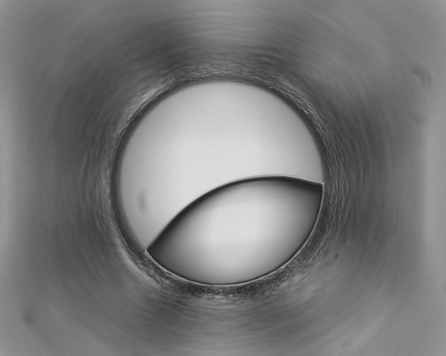 X0000113070538200908281012