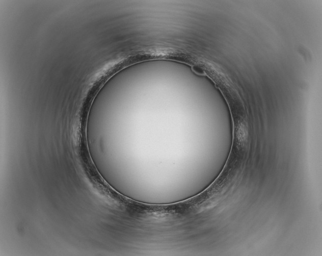 X0000113070540200908281012