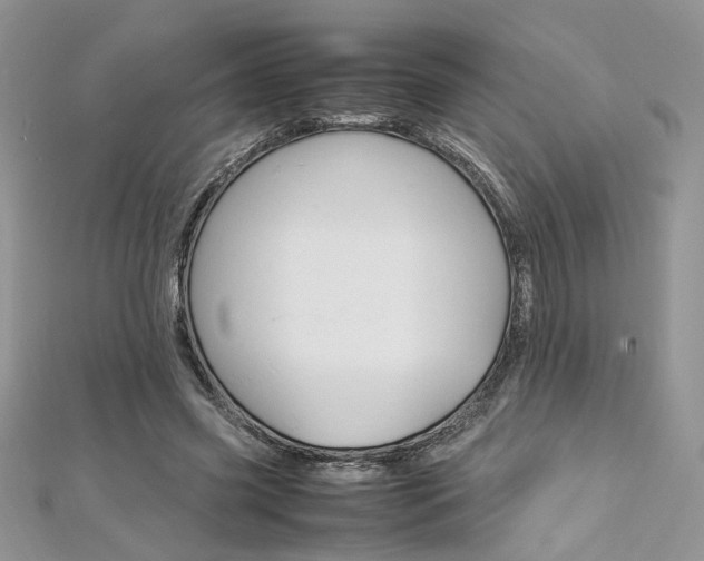 X0000113070541200908281012