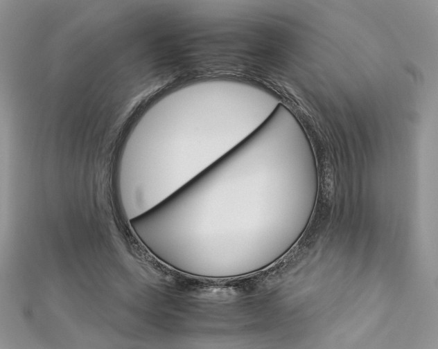 X0000113070543200908281012