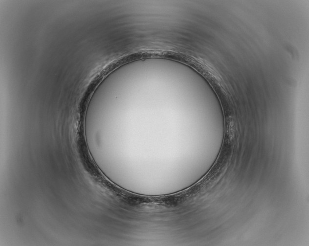 X0000113070544200908281012
