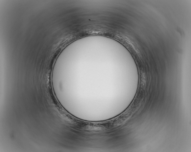X0000113070545200908281012