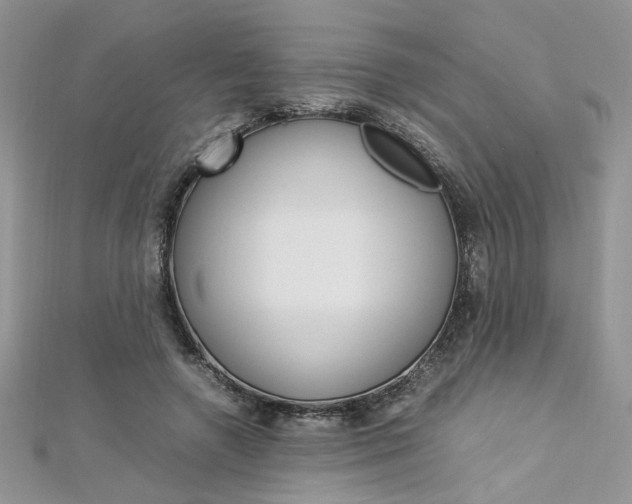 X0000113070546200908281012