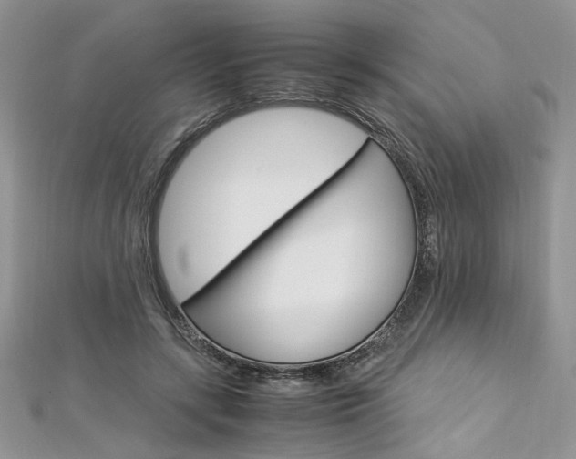 X0000113070547200908281012