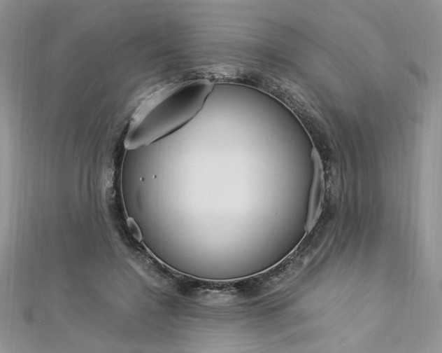X0000113070548200908281012