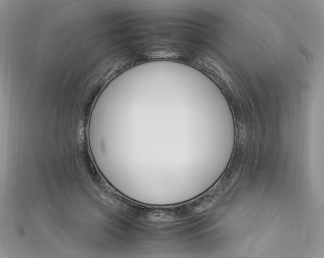 X0000113070549200908281012