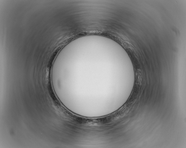 X0000113070550200908281012