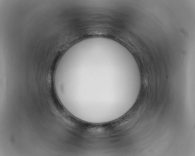 X0000113070551200908281012