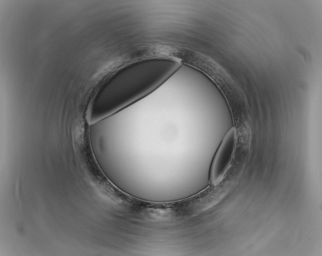 X0000113070552200908281012