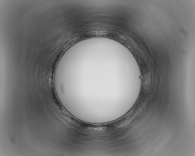 X0000113070553200908281012