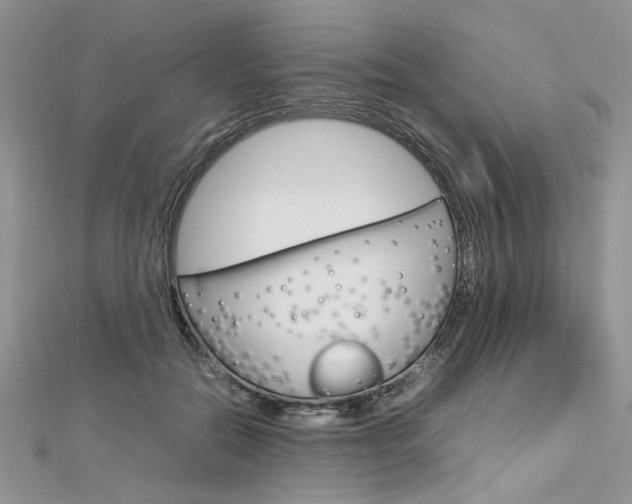 X0000113070554200908281013