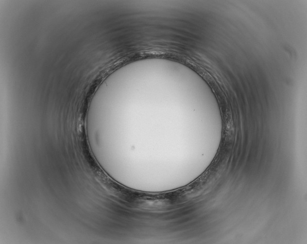 X0000113070555200908281013