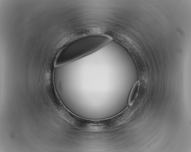 X0000113070556200908281013