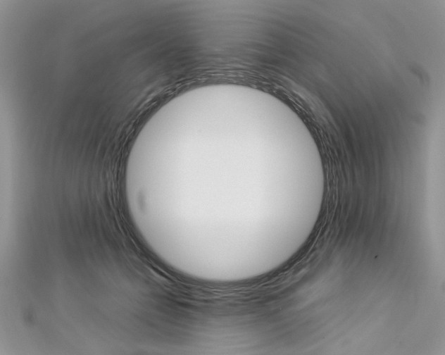X0000113070558200908281013