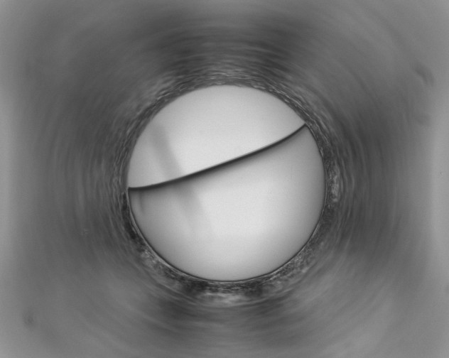 X0000113070559200908281013