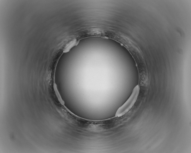 X0000113070560200908281013