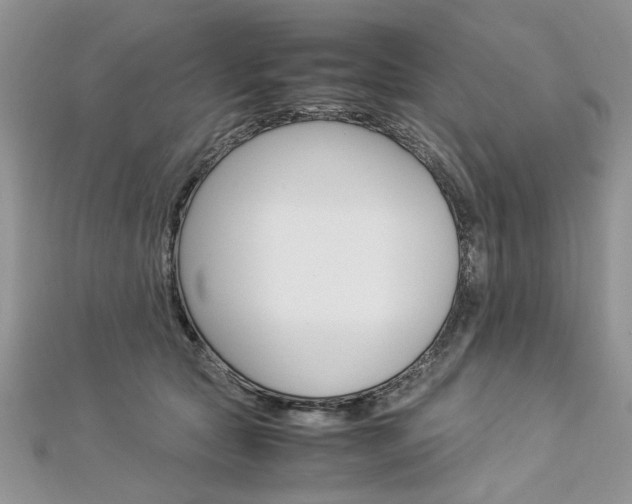 X0000113070561200908281013