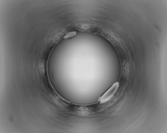 X0000113070562200908281013