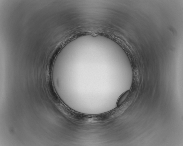 X0000113070564200908281013