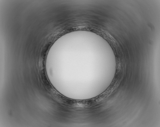 X0000113070565200908281013