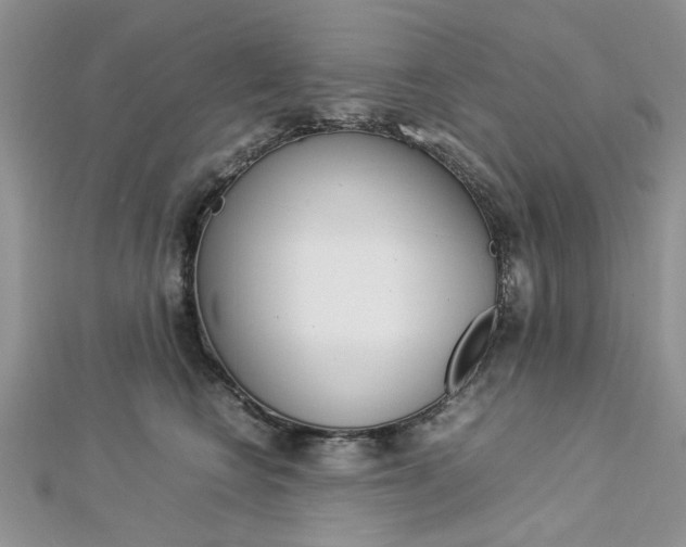 X0000113070566200908281013