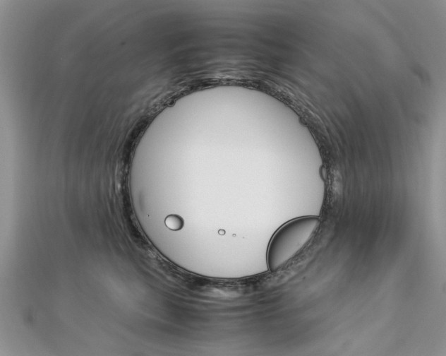 X0000113070567200908281013