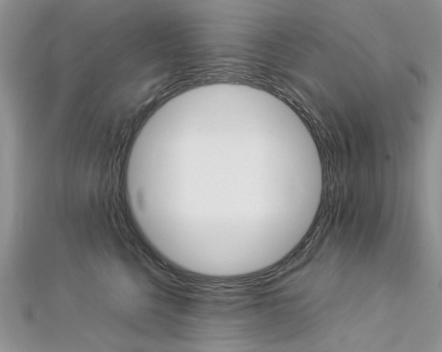 X0000113070568200908281013