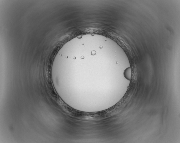 X0000113070569200908281013