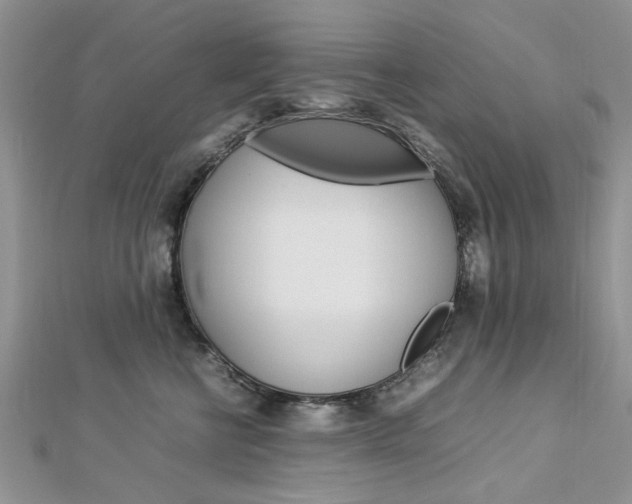 X0000113070570200908281013