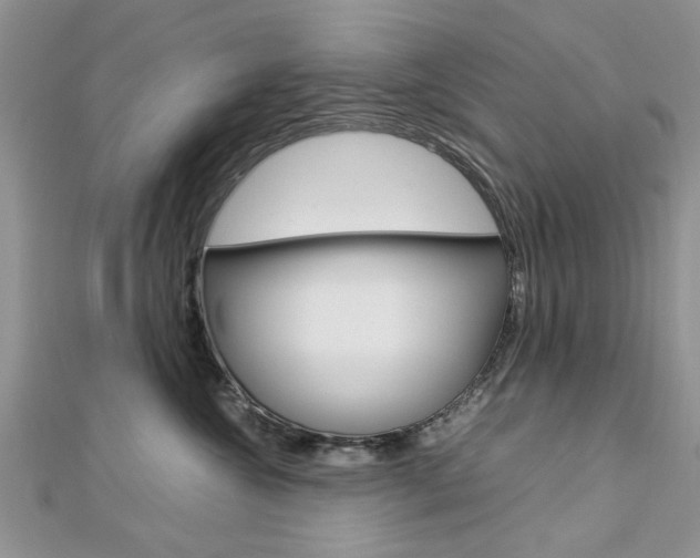 X0000113070572200908281013