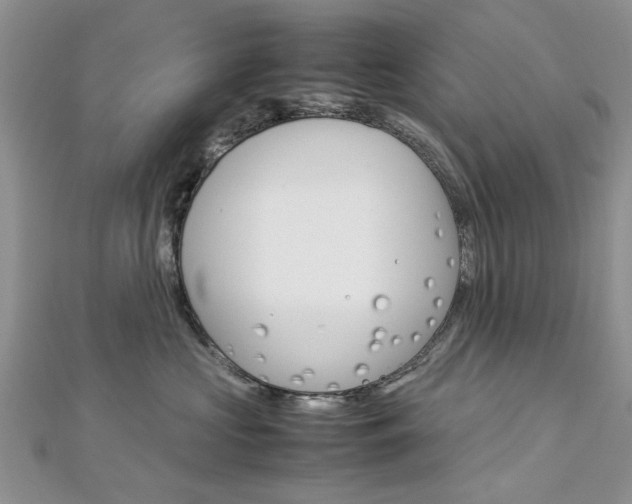 X0000113070573200908281013