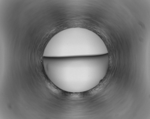 X0000113070574200908281013