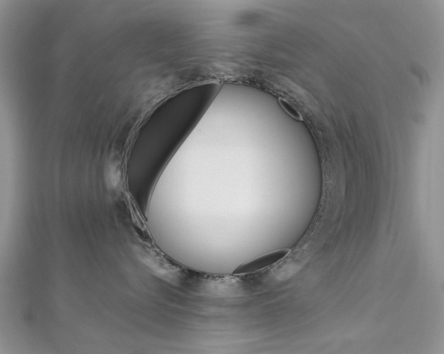 X0000113070576200908281013