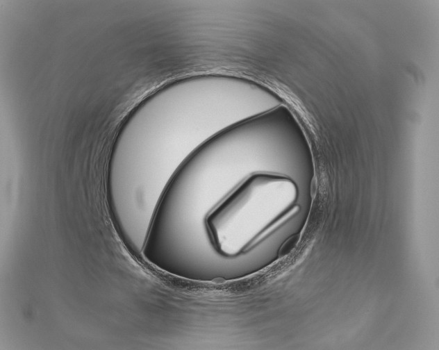 X0000113070577200908281012