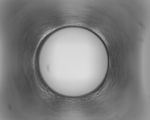 X0000113070579200908281012