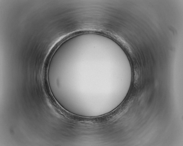 X0000113070580200908281012