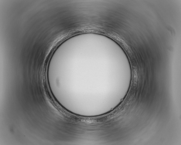 X0000113070582200908281012