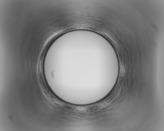 X0000113070583200908281012