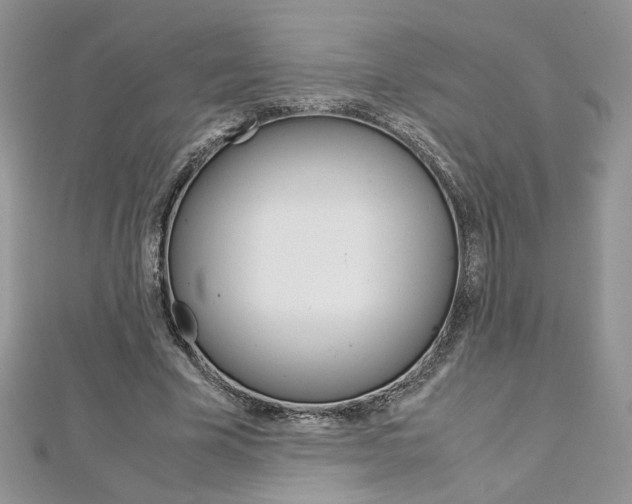X0000113070585200908281012