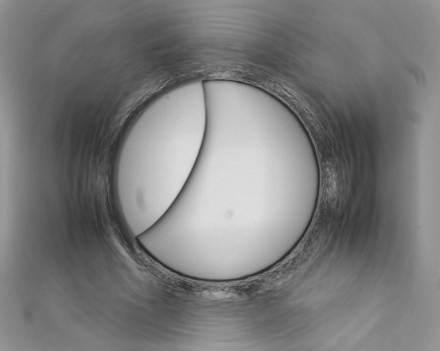 X0000113070586200908281012
