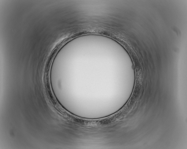 X0000113070587200908281012